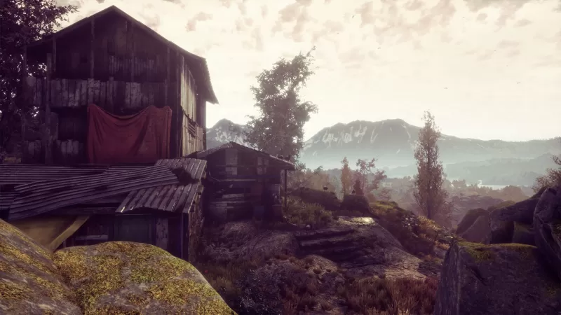 [兰古纳的枯树].The Dead Tree of Ranchiuna中文